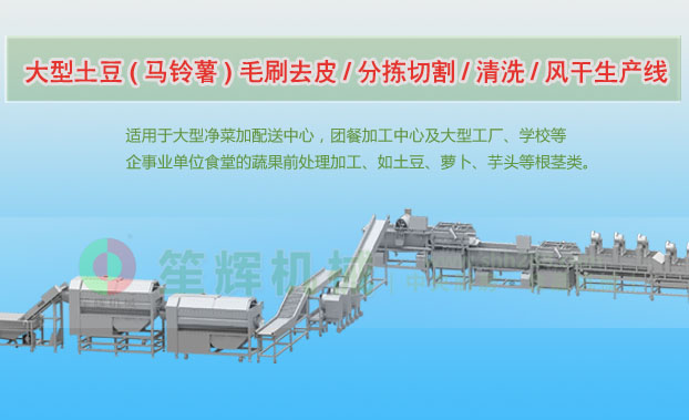 连续式土豆去皮清洗切割风干生产线